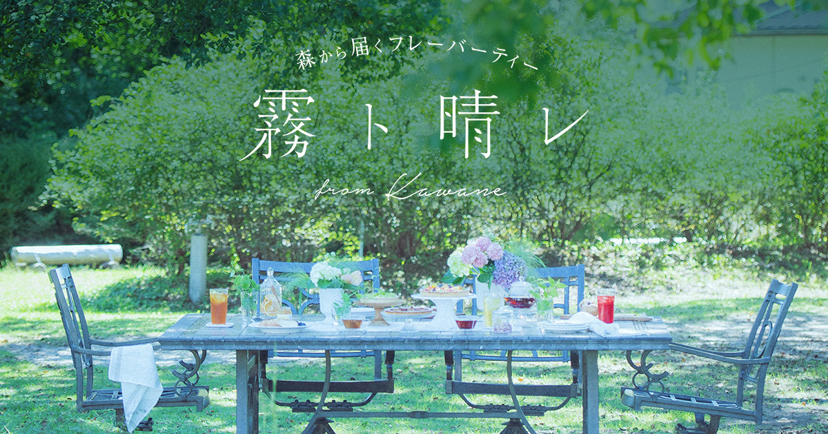 アソートギフト（1ティーバッグ12種） | 森から届くフレーバーティー